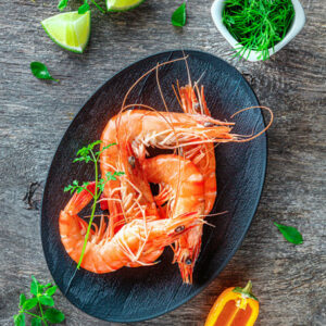 Crevettes roses cuites Label Rouge, crustacé en vente aux Viviers de Banastère - Presquîle de Rhuys